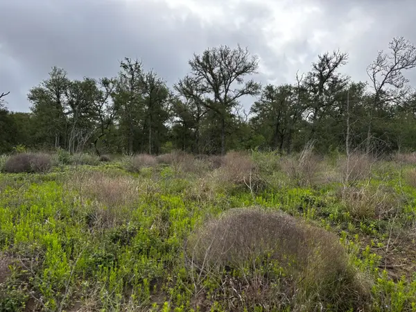 805 County Road 467, Thrall, TX 76578