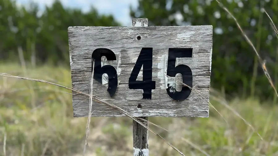 Lot 645 Wagon Wheel Trl, Bertram, TX 78605 - Image #3