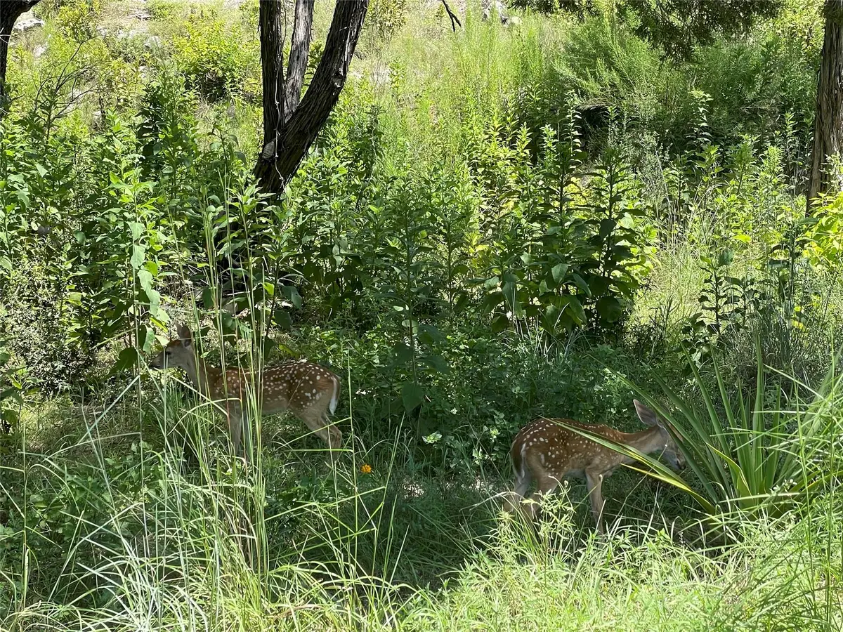 4908 Arrowhead Dr, Lago Vista, TX 78645 - Image #1