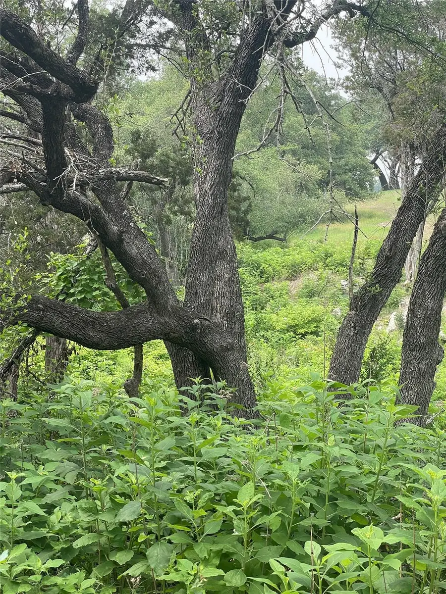 4908 Arrowhead Dr, Lago Vista, TX 78645 - Image #2