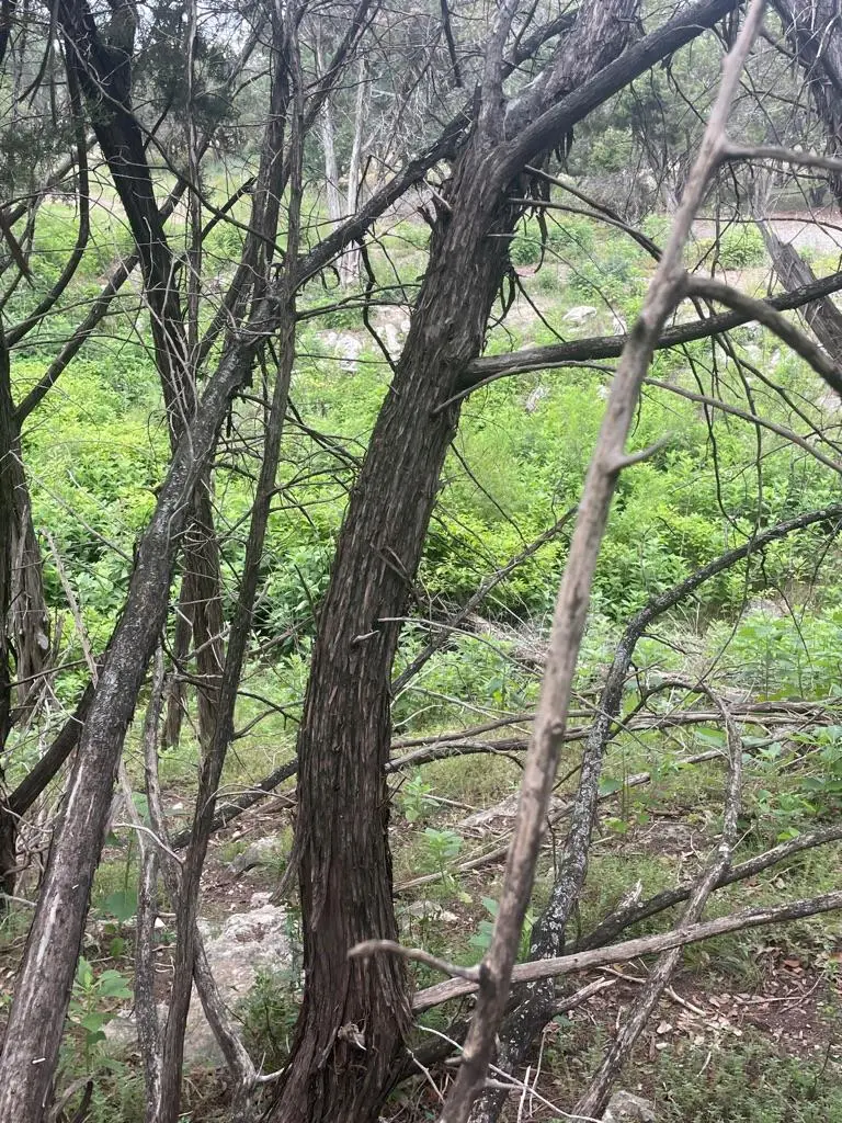 4908 Arrowhead Dr, Lago Vista, TX 78645 - Image #3