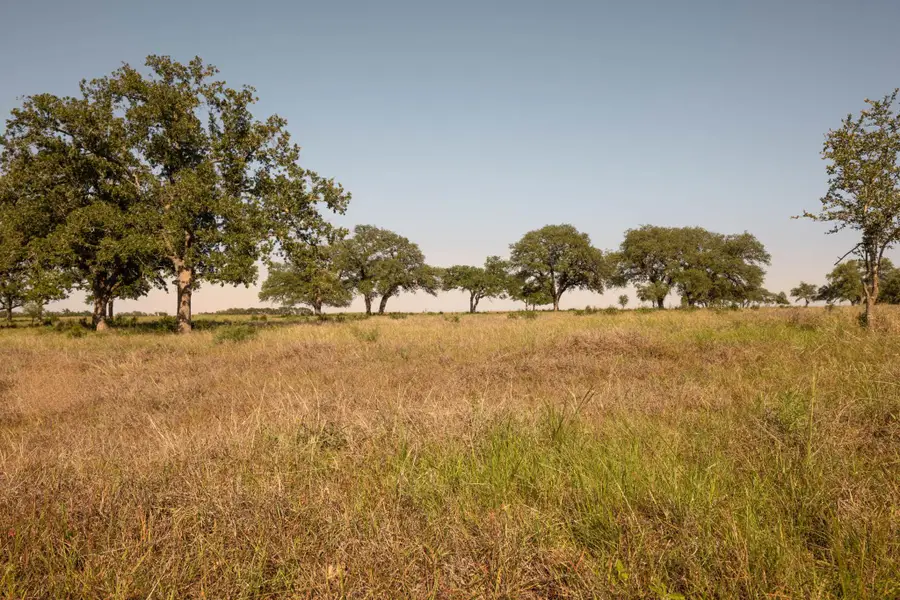 1755 Towhead Valley Rd, Johnson City, TX 78636 - #2