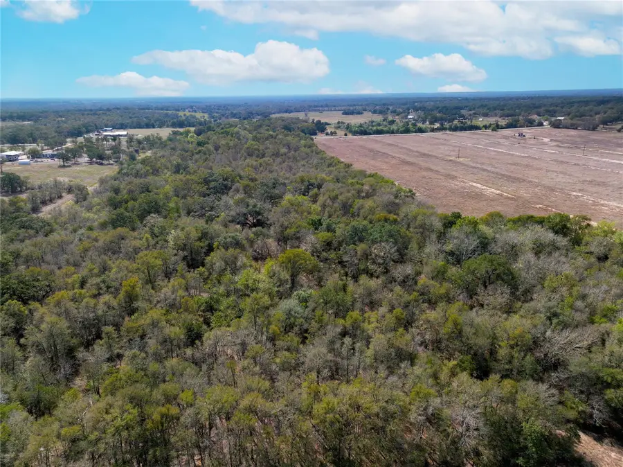 0000 Fm 2239, Paige, TX 78659 - Image #3