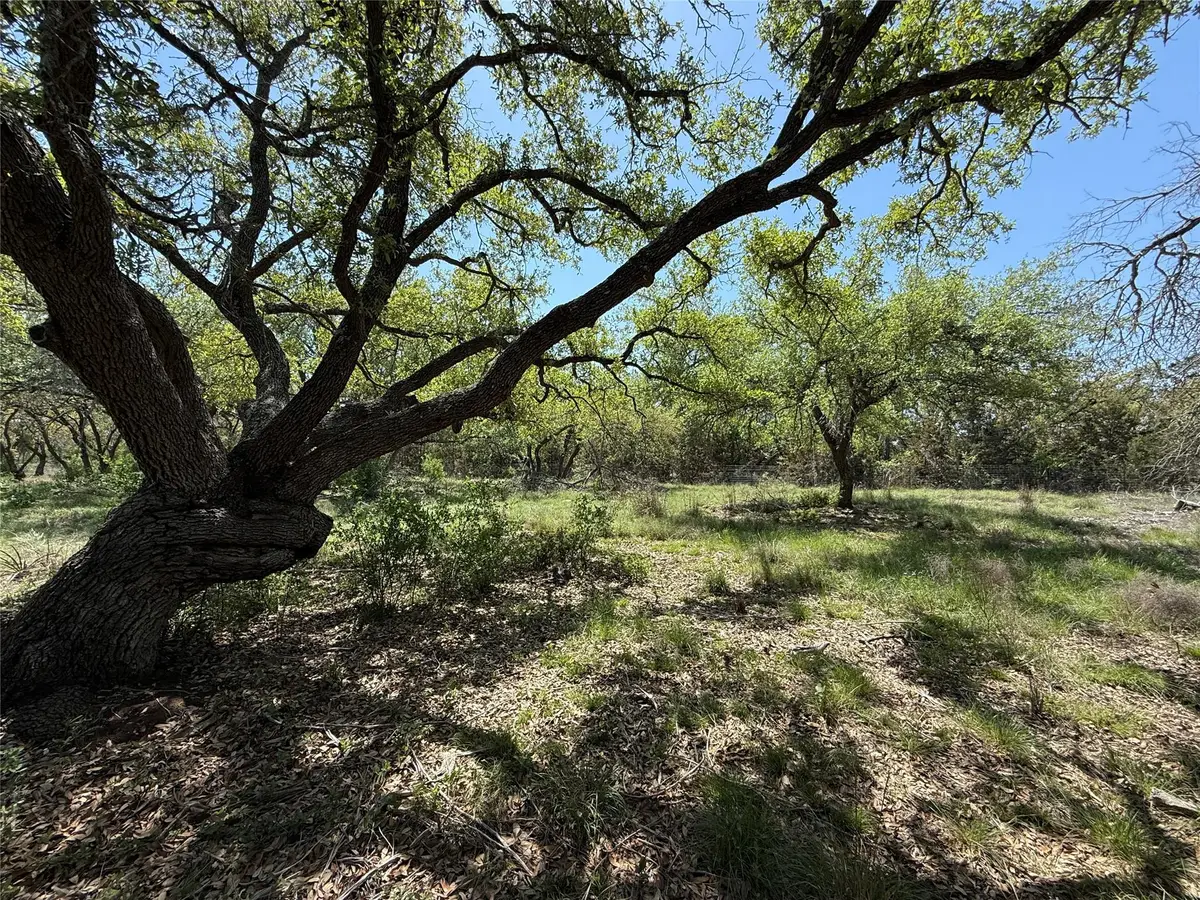 Lot 106 E Flying Owl Dr, Johnson City, TX 78636 - #1