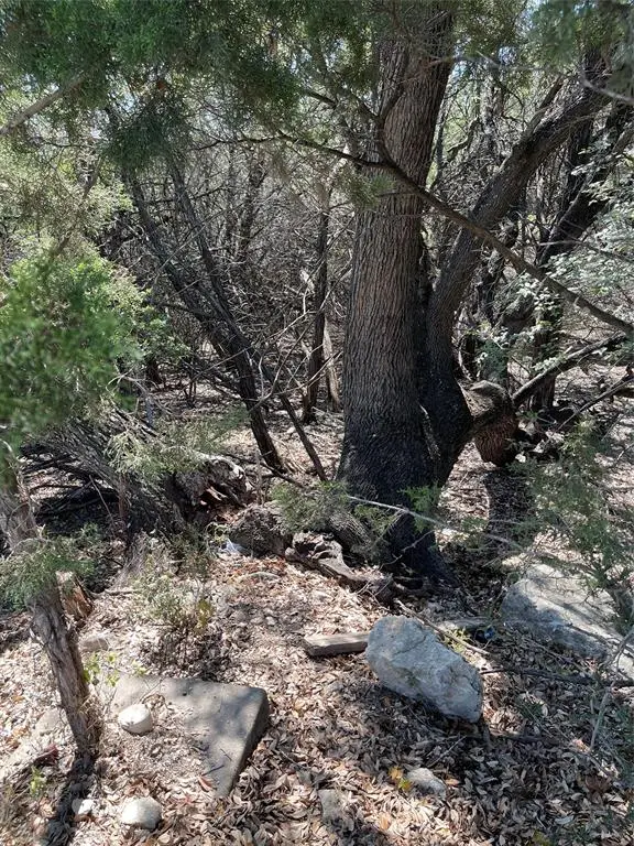 21101 Santa Paula Ave, Lago Vista, TX 78645 - Image #2