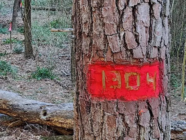 TBD - Lot 1304 Hanauma Dr, Bastrop, TX 78602