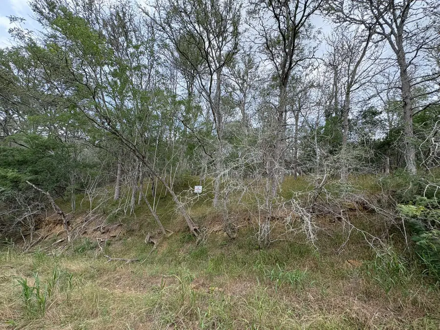 0000 Kaukonahua Ln, Bastrop, TX 78602 - Image #2