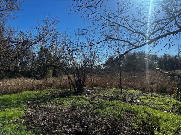 607 Old Mcdade Rd, Elgin, TX 78621