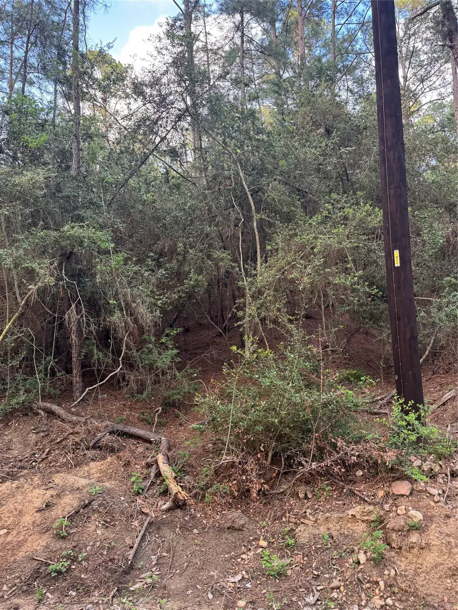 Lots 158 and 159 Hekili Dr, Bastrop, TX 78602 - #2