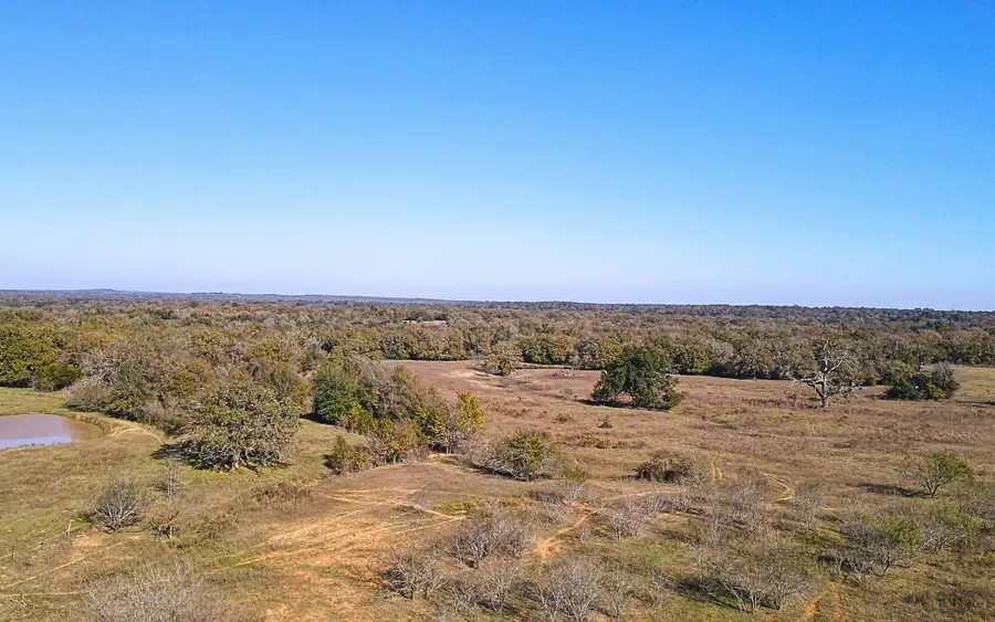 4834 Old Boone Prairie (107.53 Acres) Road, Franklin, TX 77856 - Image #3