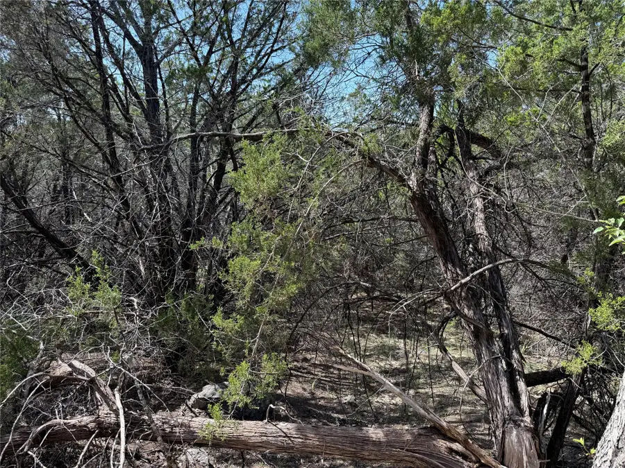 20000 Continental Cv, Lago Vista, TX 78645 - Image #2