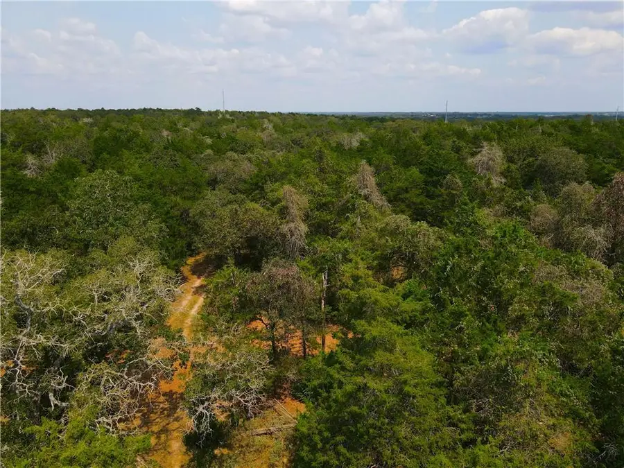 424 N County Road 437 #Lot 2, Harwood, TX 78629 - Image #2