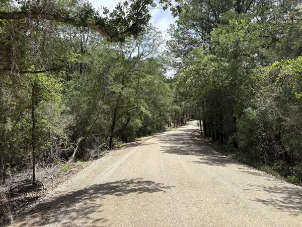 Lot 1228 & 1229 Hanauma Dr, Bastrop, TX 78602