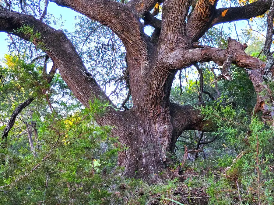 725 Cr 206, Lampasas, TX 76550 - Image #2