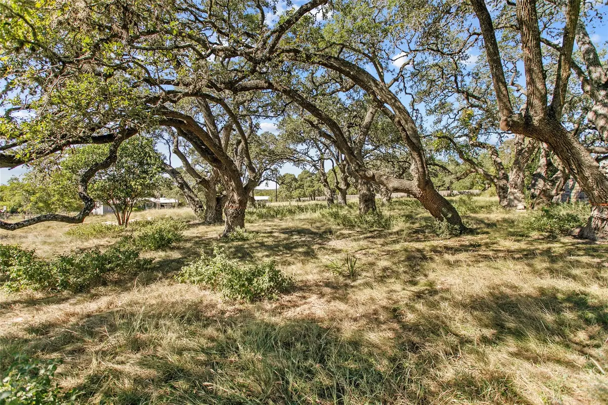 1314 Greenlawn Pkwy, Blanco, TX 78606 - #1