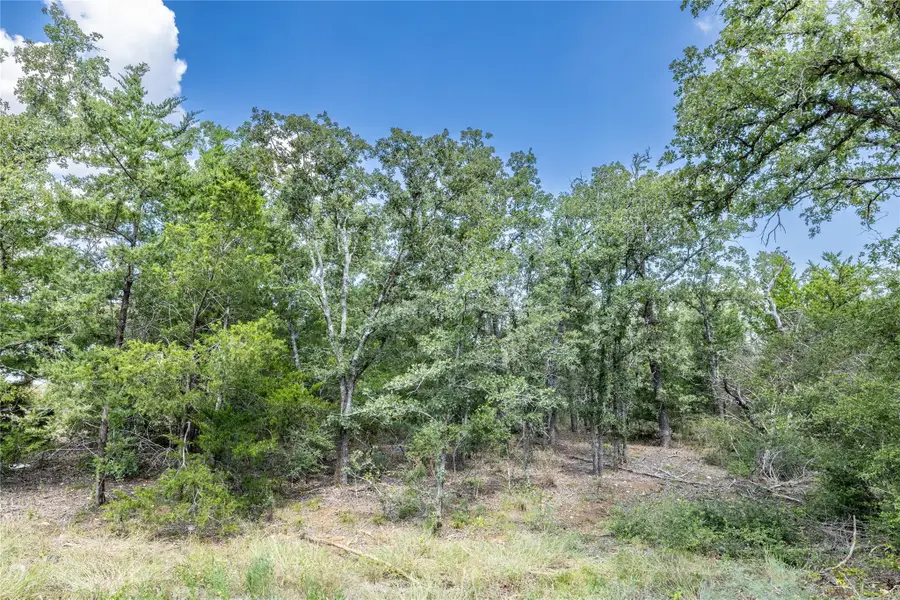 TBD Edgewood Trail Rd, Paige, TX 78659 - Image #3