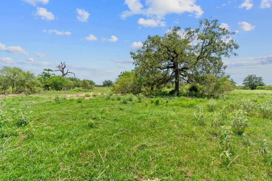 Lot 21 County Road 402, Flatonia, TX 78632 - #2
