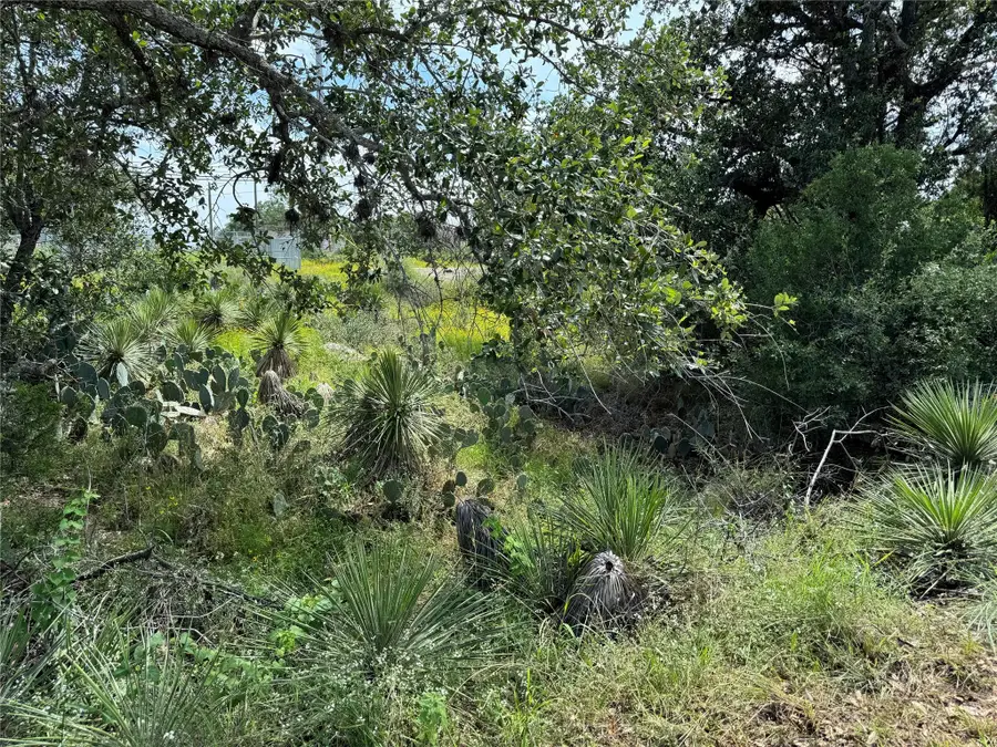 PID 17064 Sweetbriar Dr, Granite Shoals, TX 78654 - #2