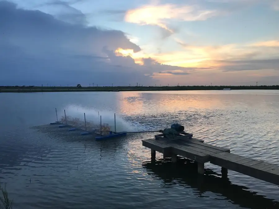 7979 Goyo Garcia Rd, Raymondville, TX 78580 - Image #3