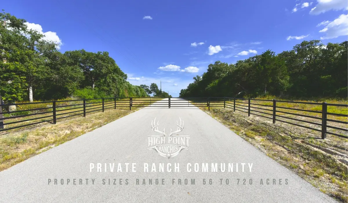 TBD Ranch Road Off Cr 405 (+/- 60 Acres), Lexington, TX 78947 - #1