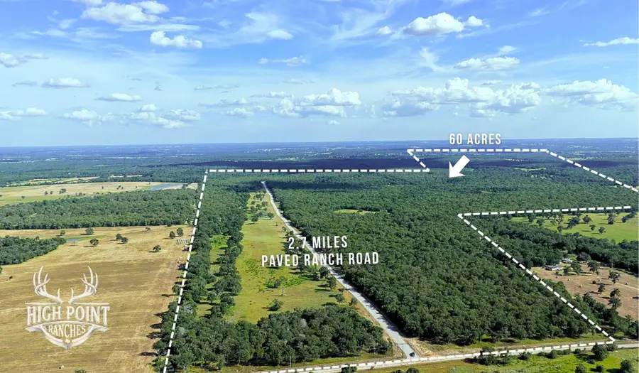TBD Ranch Road Off Cr 405 (+/- 60 Acres), Lexington, TX 78947 - #3