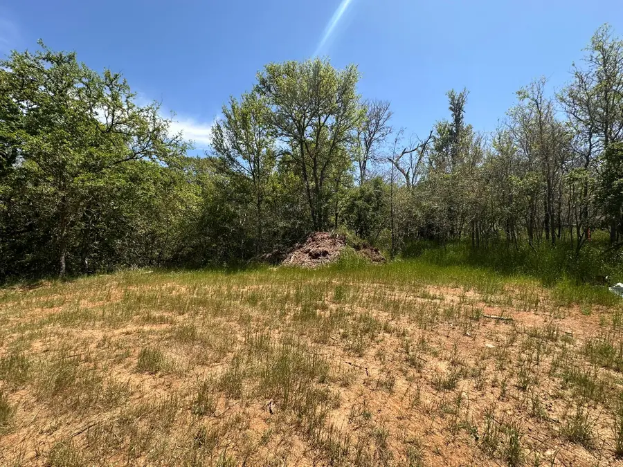 237 Mokulua Ln, Bastrop, TX 78602 - Image #2