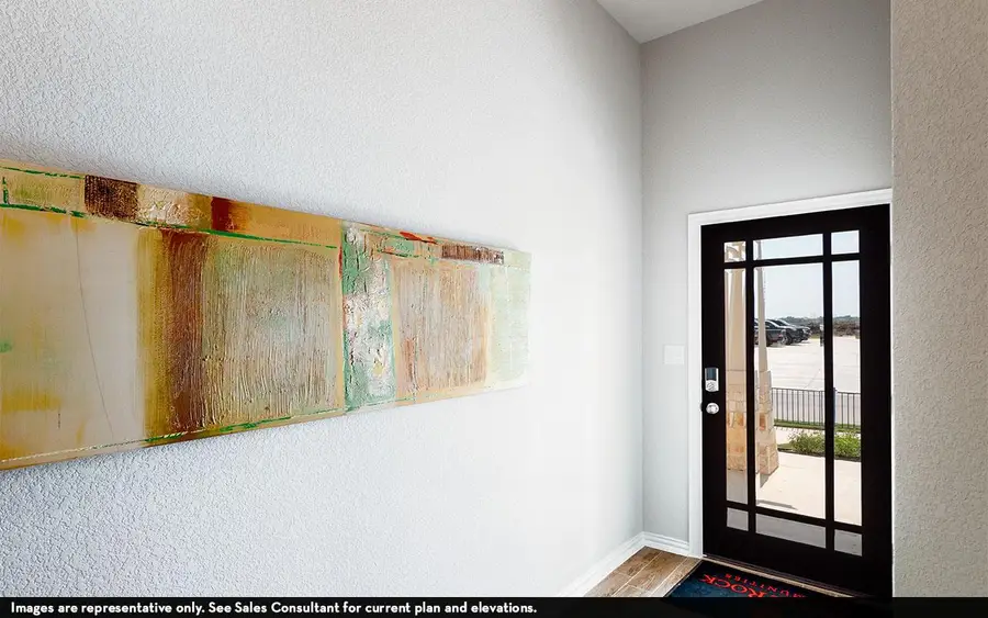 294 Rubber Tree Way, Buda, TX 78610 - #2