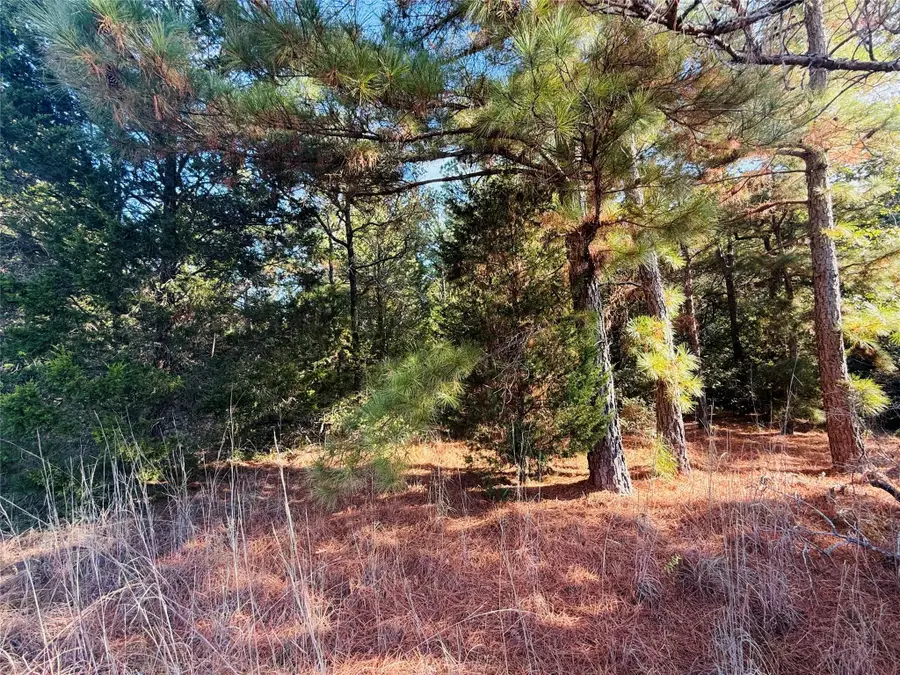 147 Arbors Cir, Elgin, TX 78621 - #2