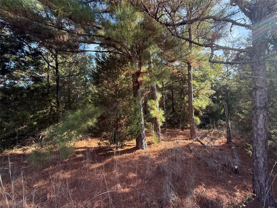 147 Arbors Cir, Elgin, TX 78621 - #3