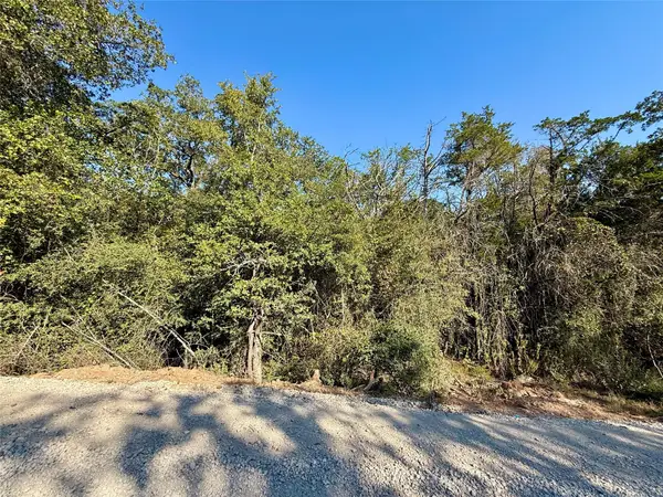 TBD Lots 1232 & 1233 Hanauma Dr, Bastrop, TX 78602