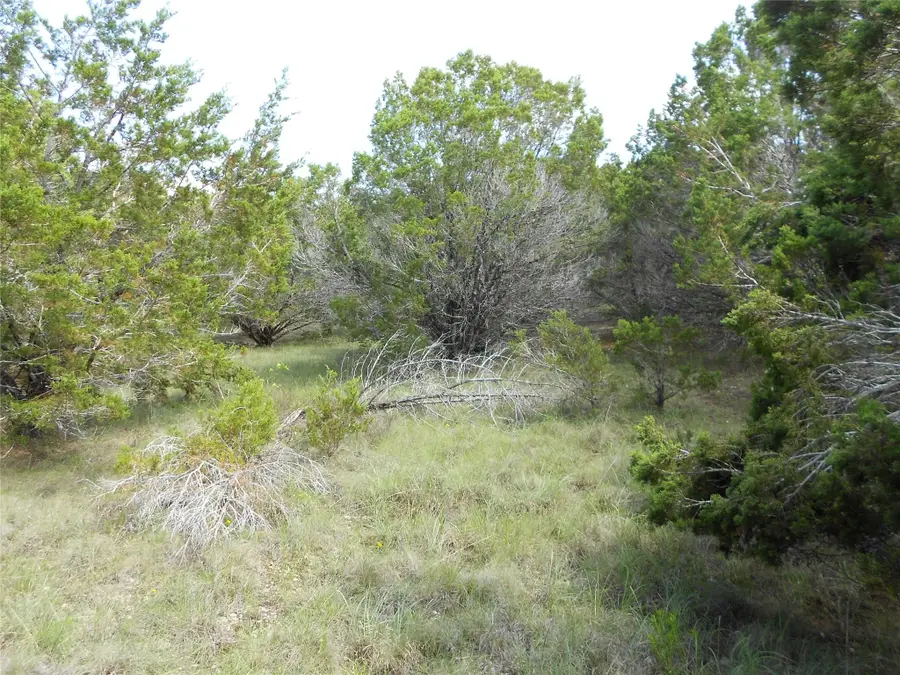 20604 Overland Trl, Lago Vista, TX 78645 - Image #3