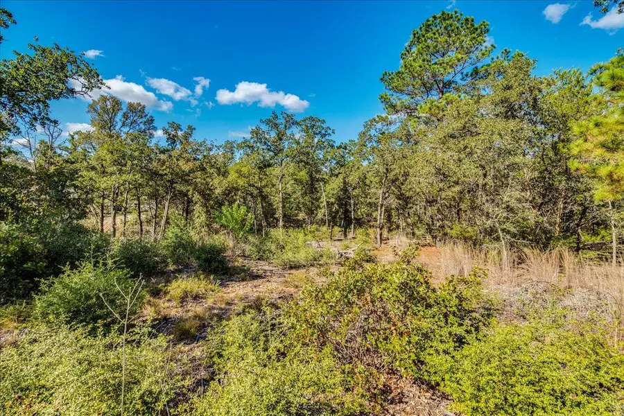 106 Wampum, Smithville, TX 78957 - Image #3