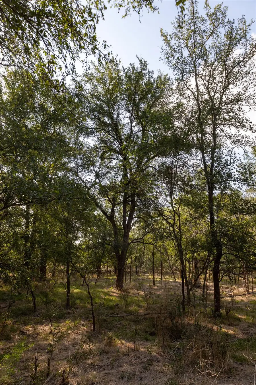 128 Baylen Clifton Ln, Lockhart, TX 78644 - Image #2