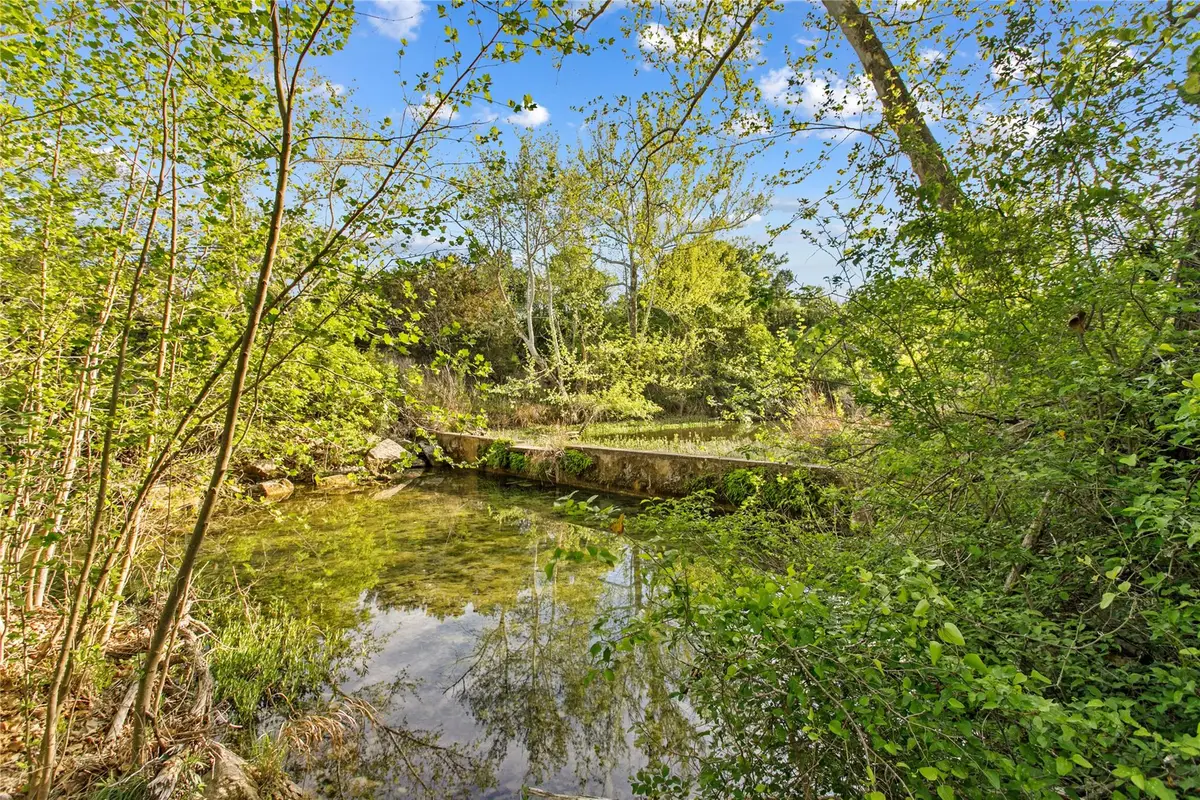 15407 Fitzhugh Pl, Dripping Springs, TX 78620 - #1