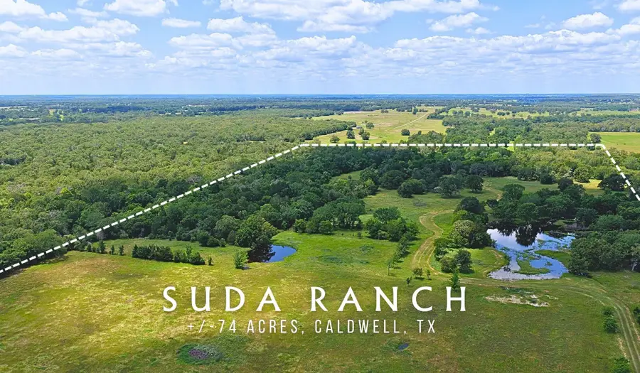 TBD County Road 132 (+/-74 Acres), Caldwell, TX 77836 - #3