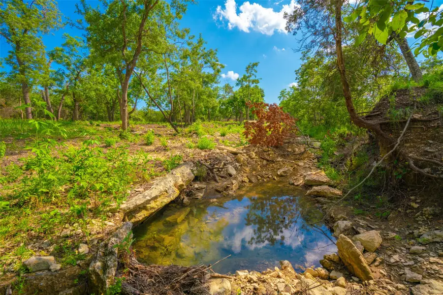 0 Spring Haven Ranch, Wimberley, TX 78676 - #3