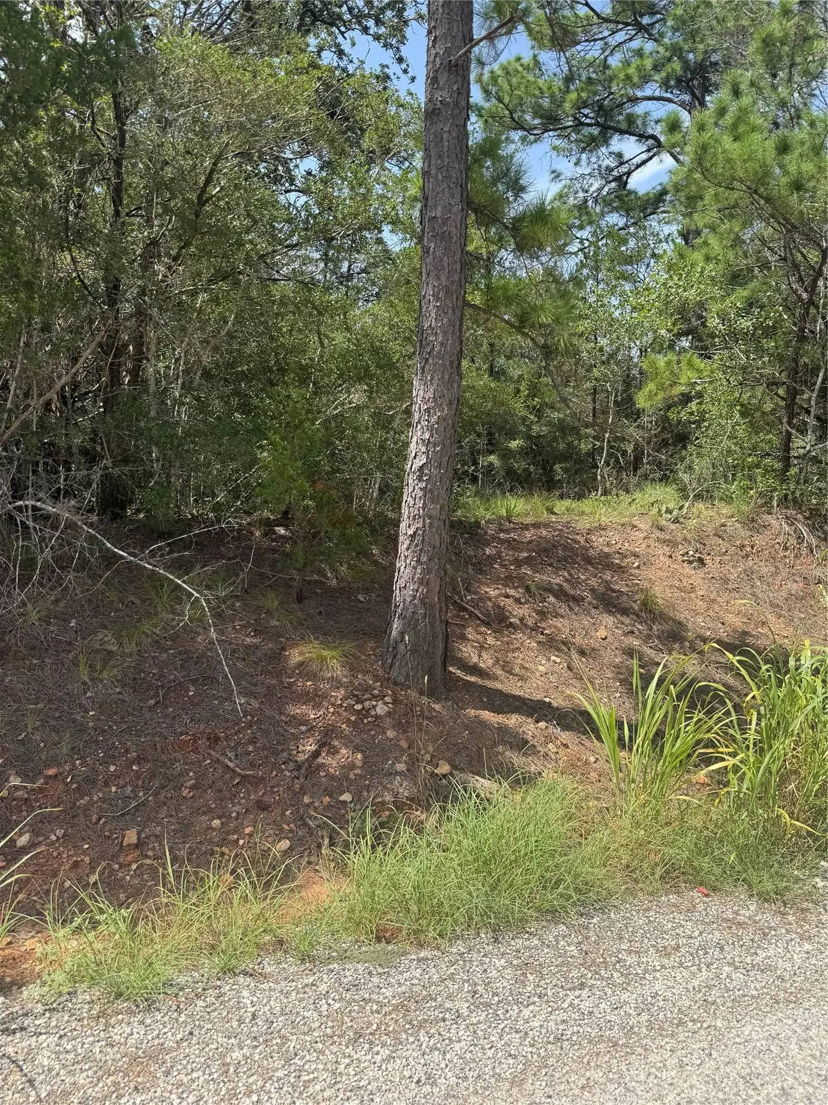 Lot 1252 TBA Hanauma Dr, Bastrop, TX 78602 - #1