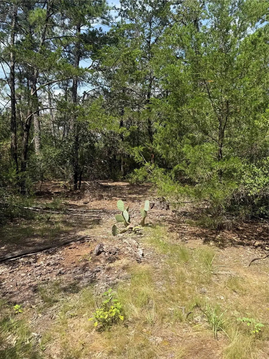 Lot 1252 TBA Hanauma Dr, Bastrop, TX 78602 - #2