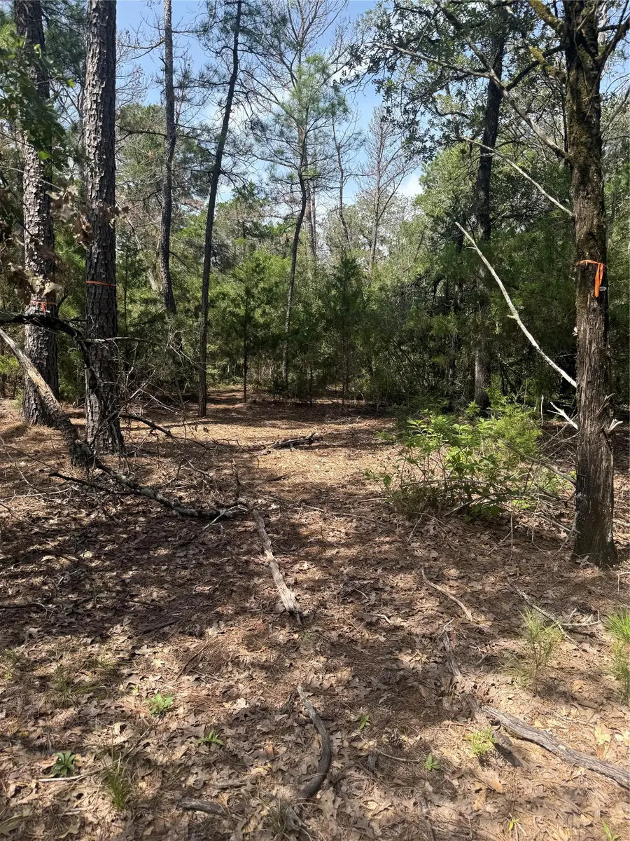 Lot 1252 TBA Hanauma Dr, Bastrop, TX 78602 - #3