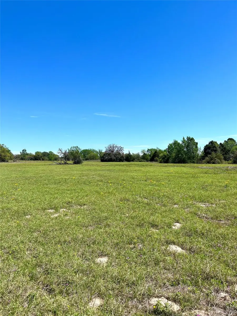 2654 County Road 329, Lincoln, TX 78948 - #3