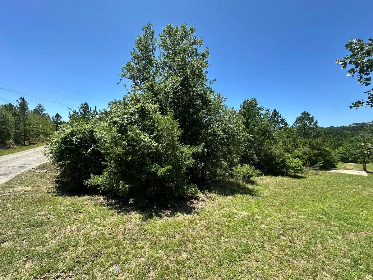 000 Manawianui Dr, Bastrop, TX 78602 - #1