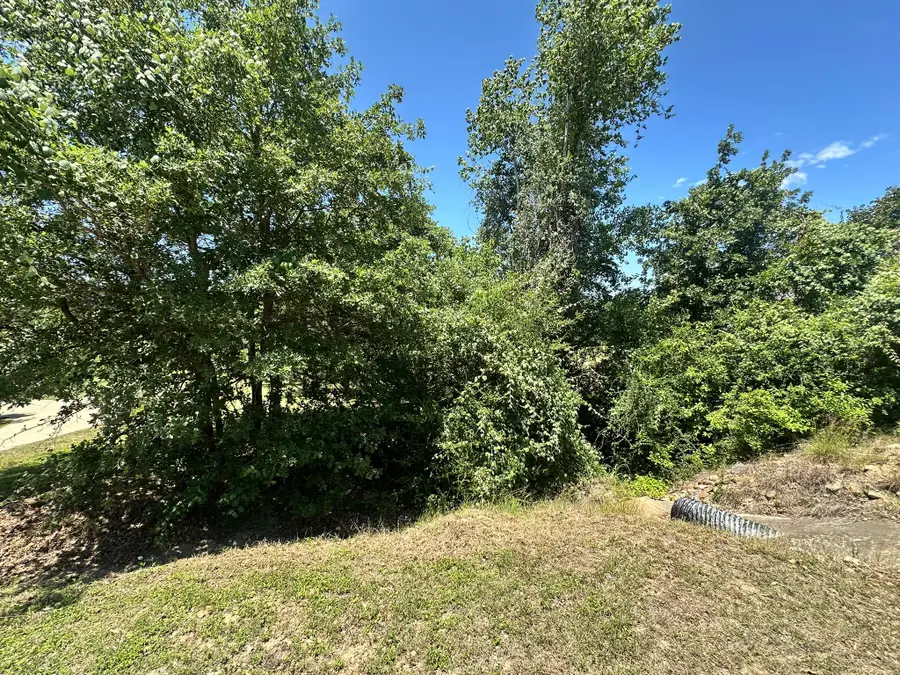 000 Manawianui Dr, Bastrop, TX 78602 - #3