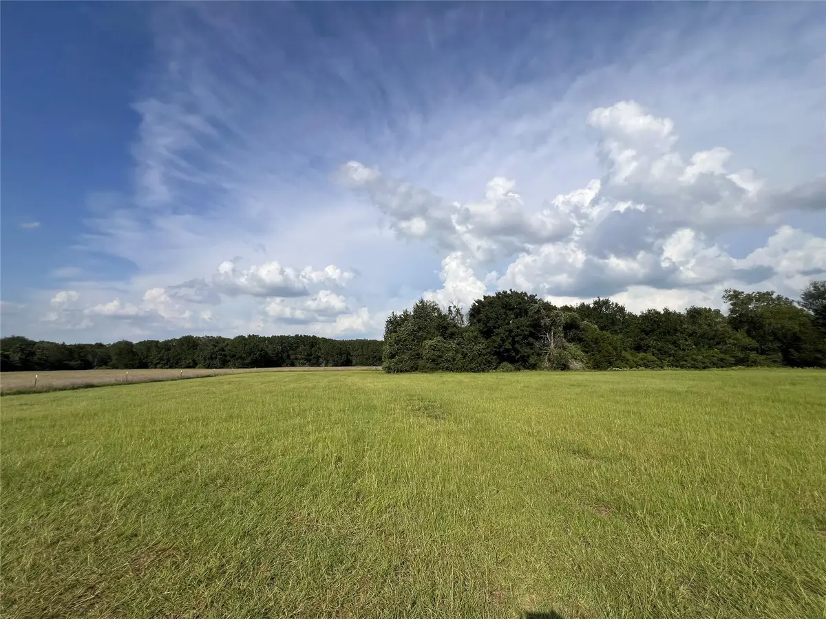 10739 County Road 367, Caldwell, TX 77836 - Image #1