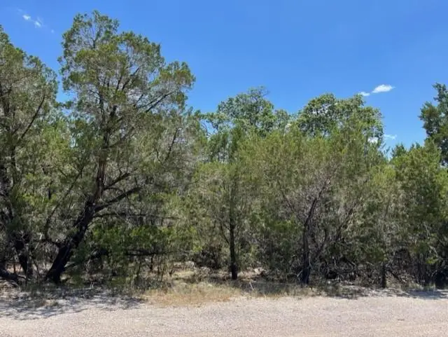 3404 Congress Ave, Lago Vista, TX 78645 - Image #3