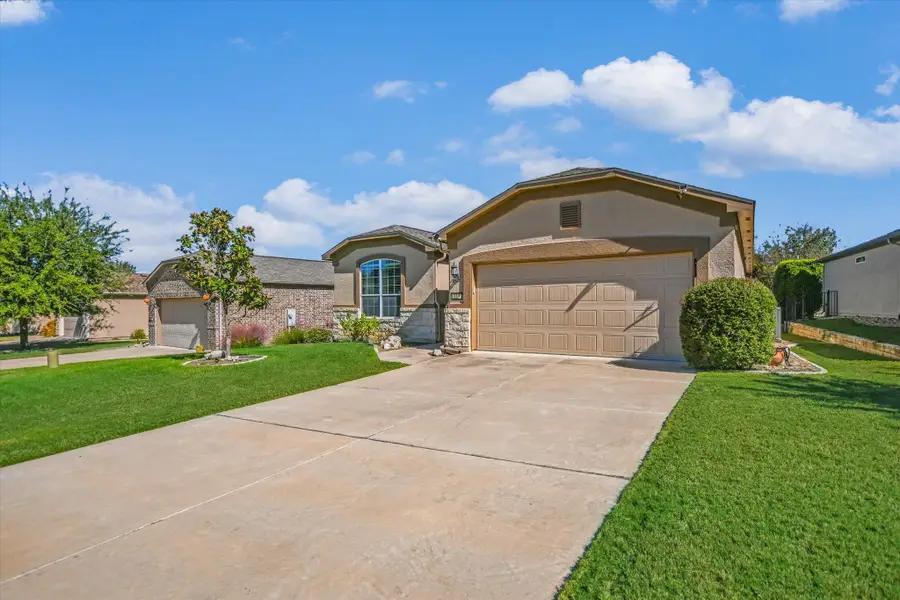 113 Cathedral Mountain Pass, Georgetown, TX 78633 - Image #2
