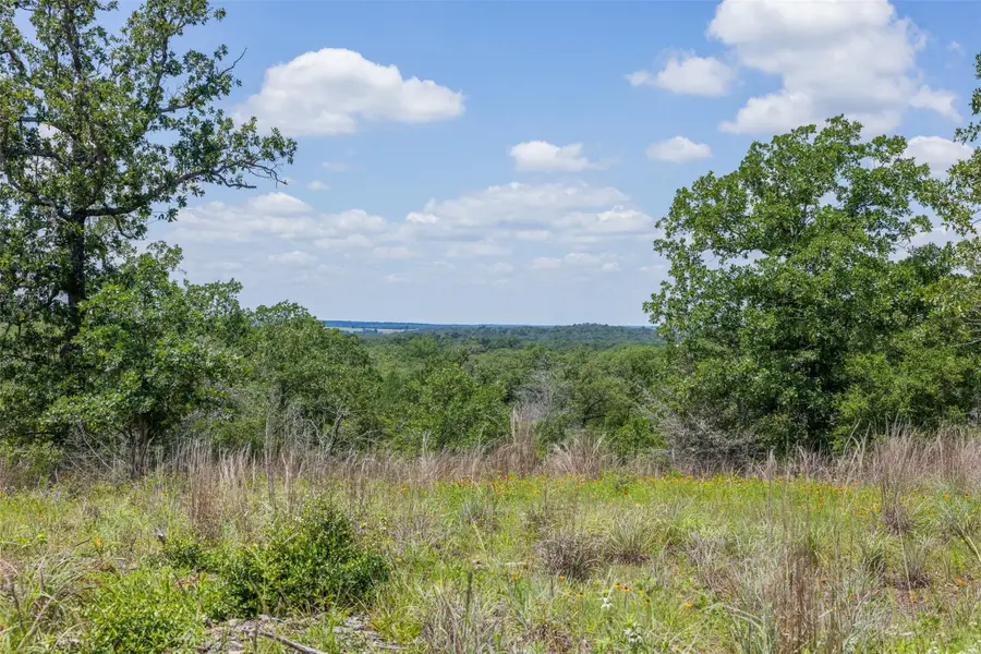 1004 22 Hills Rd, Gause, TX 77857 - #3