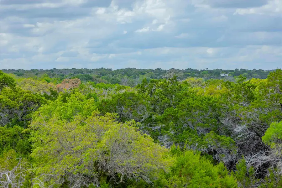 910 Abbey Rd, Liberty Hill, TX 78642 - #2