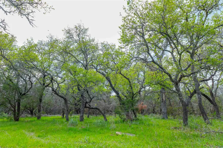 910 Abbey Rd, Liberty Hill, TX 78642 - #3