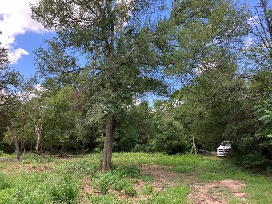 693 Saint Mary's Rd, Rosanky, TX 78953 - Image #3