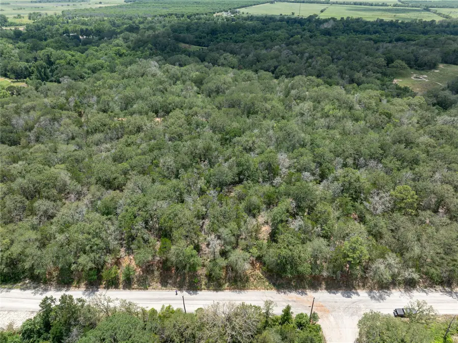 169 Kaaawa Ln, Bastrop, TX 78602 - #2